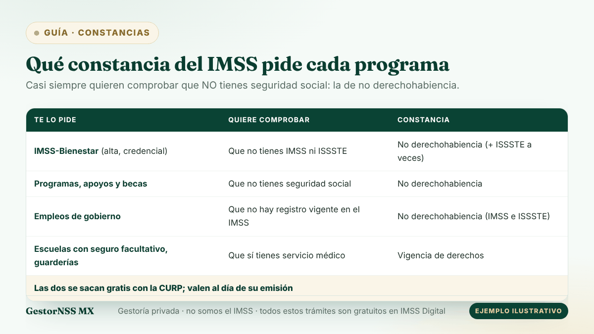 Tabla esquemática de qué constancia del IMSS pide cada programa: IMSS-Bienestar, programas y becas y empleos de gobierno piden la de no derechohabiencia; escuelas y guarderías, la de vigencia de derechos.