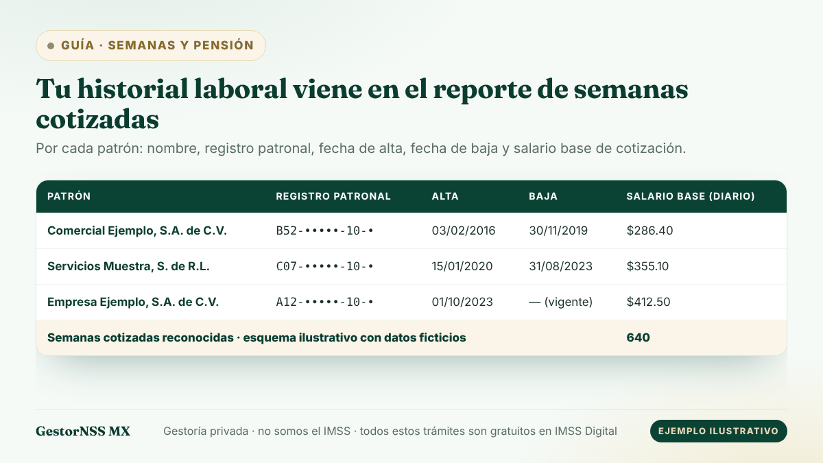 Esquema del historial laboral que incluye el reporte de semanas cotizadas del IMSS: una fila por patrón con registro patronal, fecha de alta, fecha de baja y salario base de cotización, y el total de semanas. Ejemplo ilustrativo con datos ficticios.