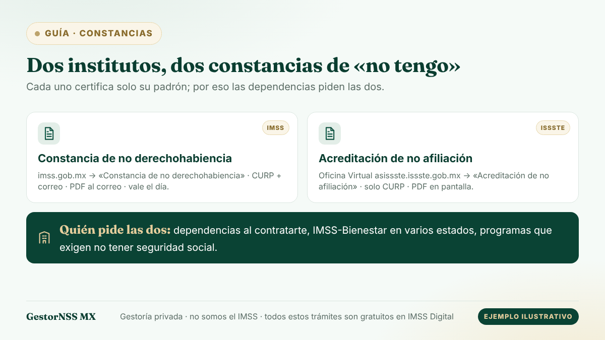 Diagrama de las dos constancias: la de no derechohabiencia del IMSS (CURP y correo) y la acreditación de no afiliación del ISSSTE (solo CURP), y quién pide ambas.