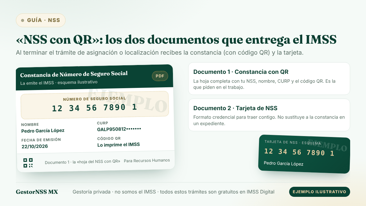 Esquema de los dos documentos que entrega el IMSS al terminar el trámite de NSS: la constancia de Número de Seguro Social con código QR (la hoja que piden en el trabajo) y la tarjeta de NSS en formato credencial. Ejemplo ilustrativo con datos ficticios.
