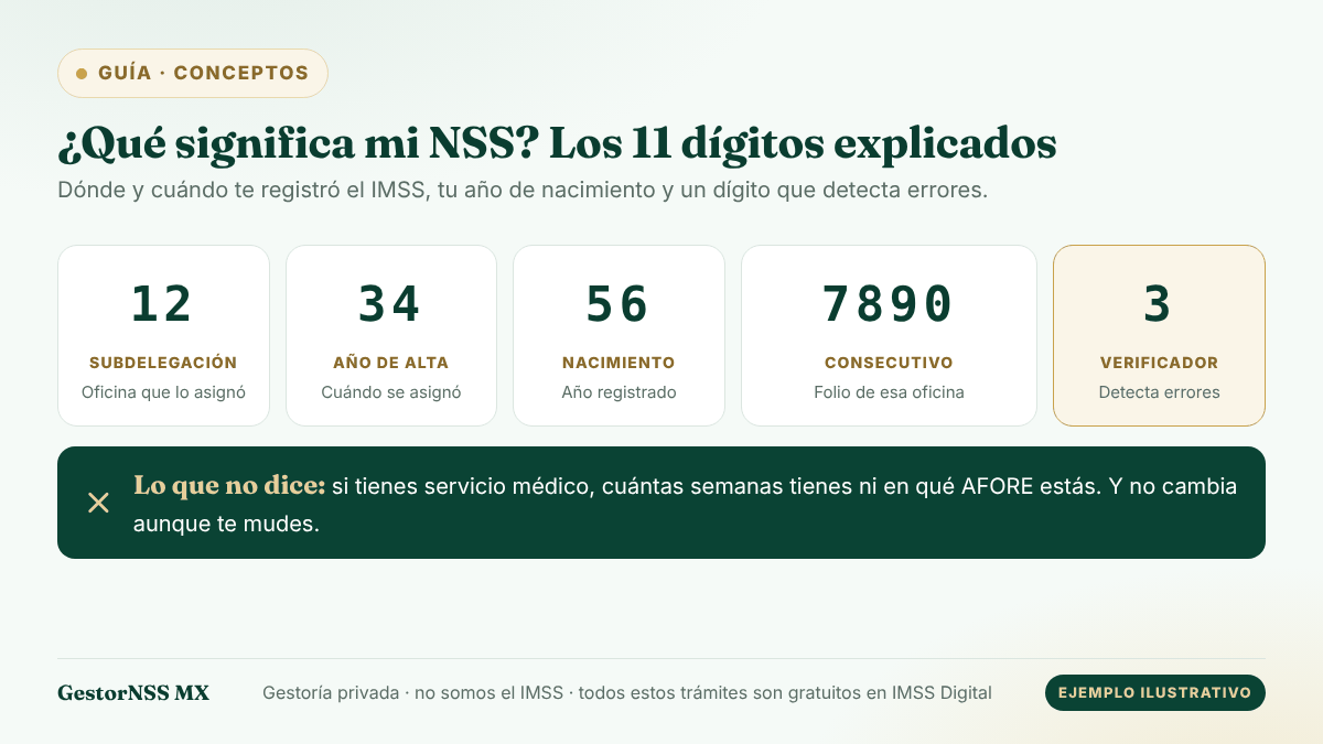 Diagrama de la estructura del Número de Seguro Social: dos dígitos de subdelegación, dos del año de alta, dos del año de nacimiento, cuatro de consecutivo y un dígito verificador. Ejemplo ficticio.