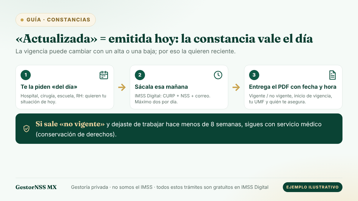 Esquema de la constancia de vigencia de derechos actualizada: se pide del día, se saca esa mañana en IMSS Digital (máximo dos por día) y se entrega el PDF con fecha y hora.