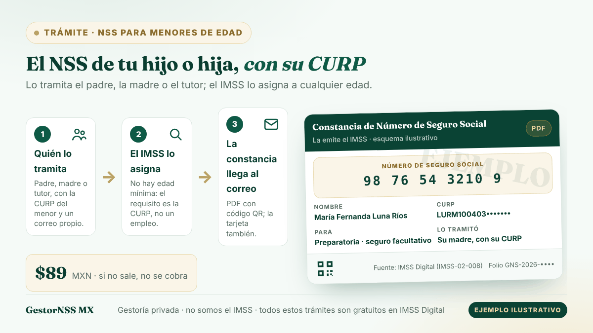 Esquema del NSS para menores de edad: el padre, madre o tutor lo tramita con la CURP del menor y un correo, el IMSS lo asigna a cualquier edad y la constancia llega en PDF. Ejemplo ilustrativo con datos ficticios.